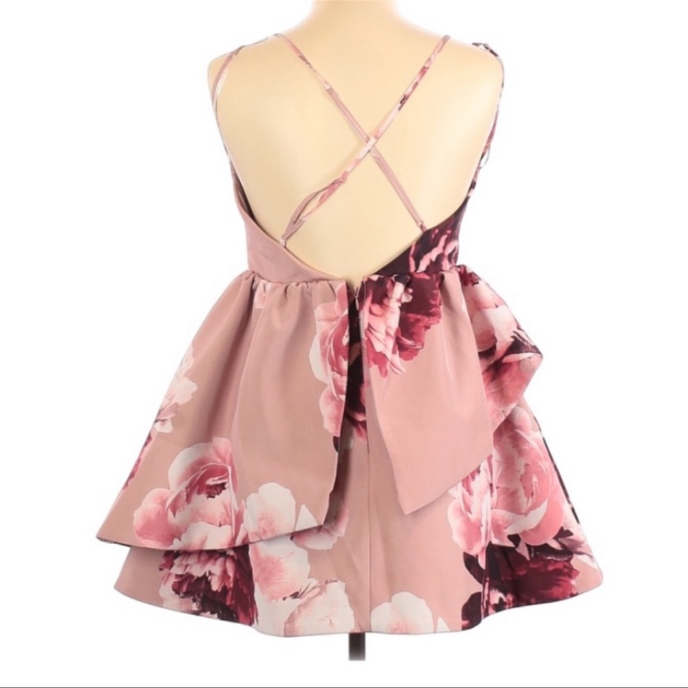 NWT KEEPSAKE the Label cupcake mini dress - Picture 4 of 5